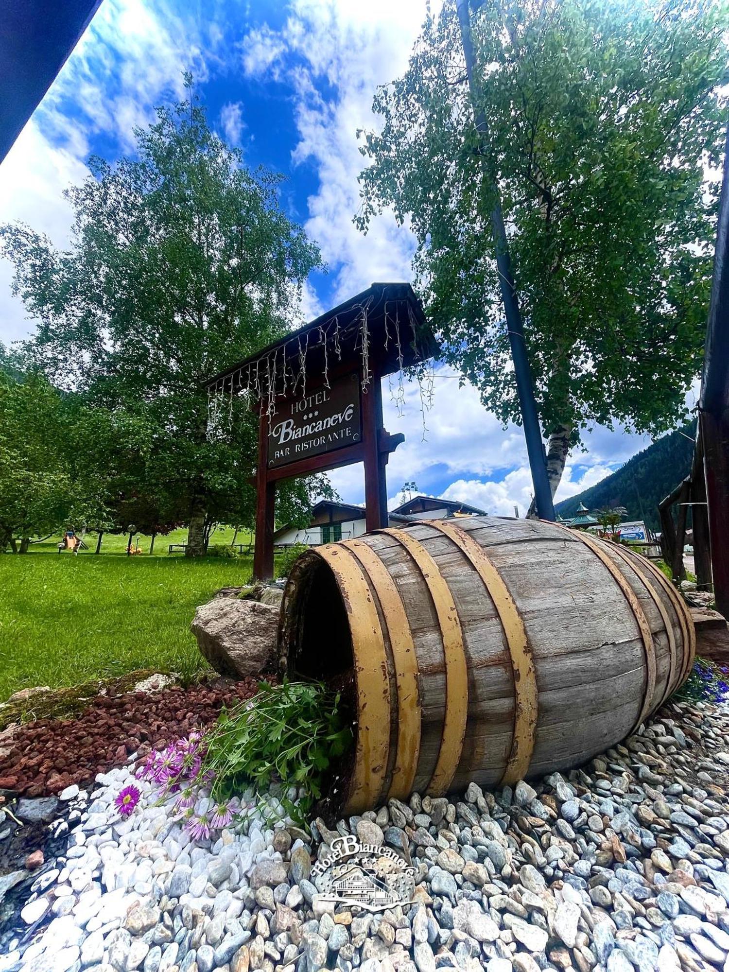 Hotel Biancaneve Cogolo Zewnętrze zdjęcie